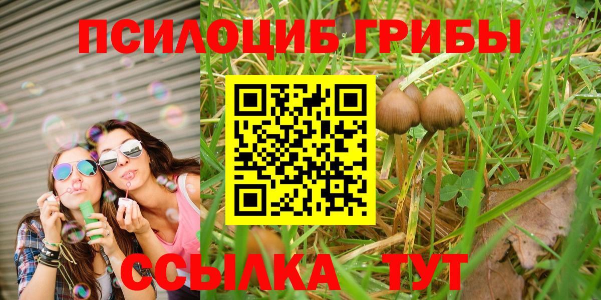 Тимашёвск  Галлюциногенные грибы MAGIC MUSHROOMS  Псилоцибиновые грибы ЛСД  Вход с VPN 